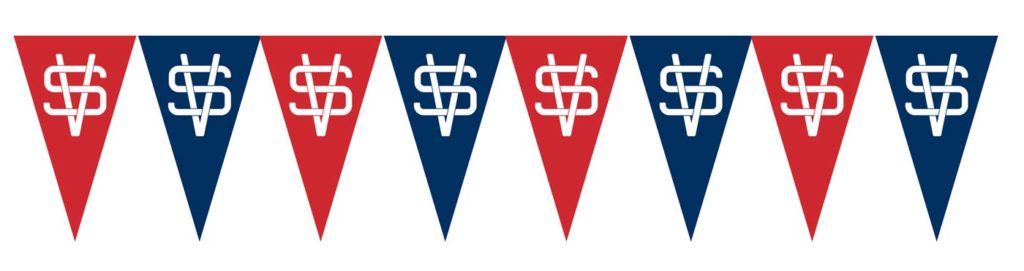 Virtual Storefronts Logo Pennants